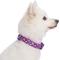 Show in main carousel: Blueberry Pet Soft & Comfy Padded Polyester Dog Collar, Plum Purple, Large: 18 to 26-in neck, 1-in wide slide 4 of 10