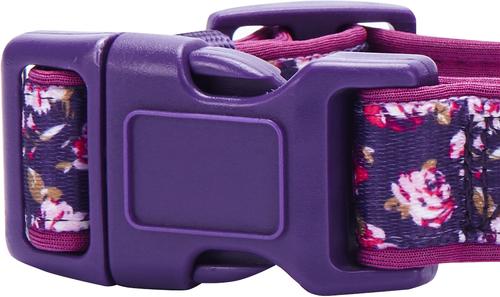Show full view: Blueberry Pet Soft & Comfy Padded Polyester Dog Collar, Plum Purple, Large: 18 to 26-in neck, 1-in wide slide 6 of 10