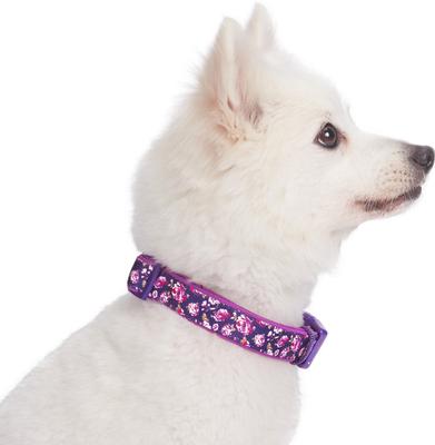 Show full view: Blueberry Pet Soft & Comfy Padded Polyester Dog Collar, Plum Purple, Medium: 14.5 to 20-in neck, 3/4-in wide slide 4 of 10