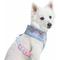 Show in main carousel: Blueberry Pet Soft & Comfy Spring Scent Inspired Floral Dog Harness Vest, Pastel Blue, Medium: 19.5 to 26-in chest slide 2 of 7