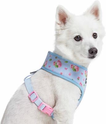 Show full view: Blueberry Pet Soft & Comfy Spring Scent Inspired Floral Dog Harness Vest, Pastel Blue, Medium: 19.5 to 26-in chest slide 2 of 7