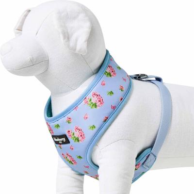 Show full view: Blueberry Pet Soft & Comfy Spring Scent Inspired Floral Dog Harness Vest, Pastel Blue, Medium: 19.5 to 26-in chest slide 4 of 7