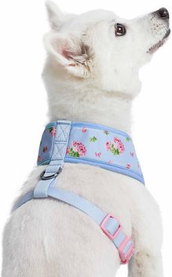 Show full view: Blueberry Pet Soft & Comfy Spring Scent Inspired Floral Dog Harness Vest, Pastel Blue, Medium: 19.5 to 26-in chest slide 3 of 7