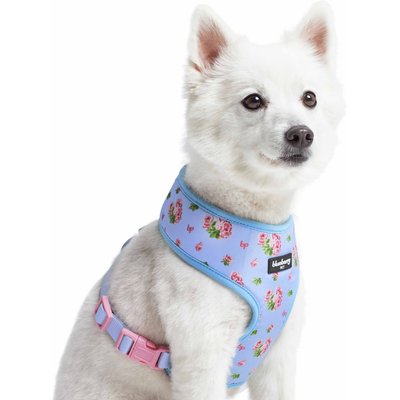 Blueberry Pet Blueberry Pet Soft & Comfy Spring Scent Inspired Floral Dog Harness Vest, Pastel Blue, Small: 16 to 21-in chest