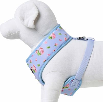 Show full view: Blueberry Pet Soft & Comfy Spring Scent Inspired Floral Dog Harness Vest, Pastel Blue, Small: 16 to 21-in chest slide 6 of 7