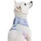 Show in main carousel: Blueberry Pet Soft & Comfy Spring Scent Inspired Floral Dog Harness Vest, Pastel Blue, Small: 16 to 21-in chest slide 3 of 7