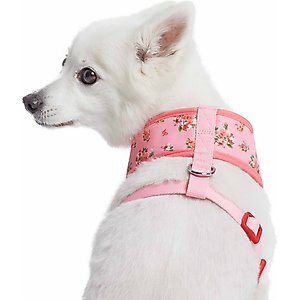 Blueberry Pet Soft & Comfy Spring Scent Inspired Floral Dog Harness Vest, Rose Baby Pink, Small: 16 to 21-in chest