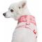 Show in main carousel: Blueberry Pet Soft & Comfy Spring Scent Inspired Floral Dog Harness Vest, Rose Baby Pink, Small: 16 to 21-in chest slide 3 of 7