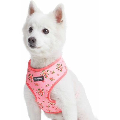 Blueberry Pet Blueberry Pet Soft & Comfy Spring Scent Inspired Floral Dog Harness Vest, Rose Baby Pink, X-Small: 13 to 16-in chest