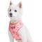 Show in main carousel: Blueberry Pet Soft & Comfy Spring Scent Inspired Floral Dog Harness Vest, Rose Baby Pink, X-Small: 13 to 16-in chest slide 1 of 8