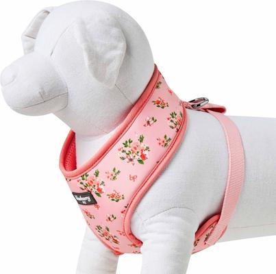 Show full view: Blueberry Pet Soft & Comfy Spring Scent Inspired Floral Dog Harness Vest, Rose Baby Pink, X-Small: 13 to 16-in chest slide 5 of 8