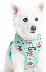 Blueberry Pet Soft & Comfy Spring Scent Inspired Floral Dog Harness Vest, Turquoise, Medium: 19.5 to 26-in chest