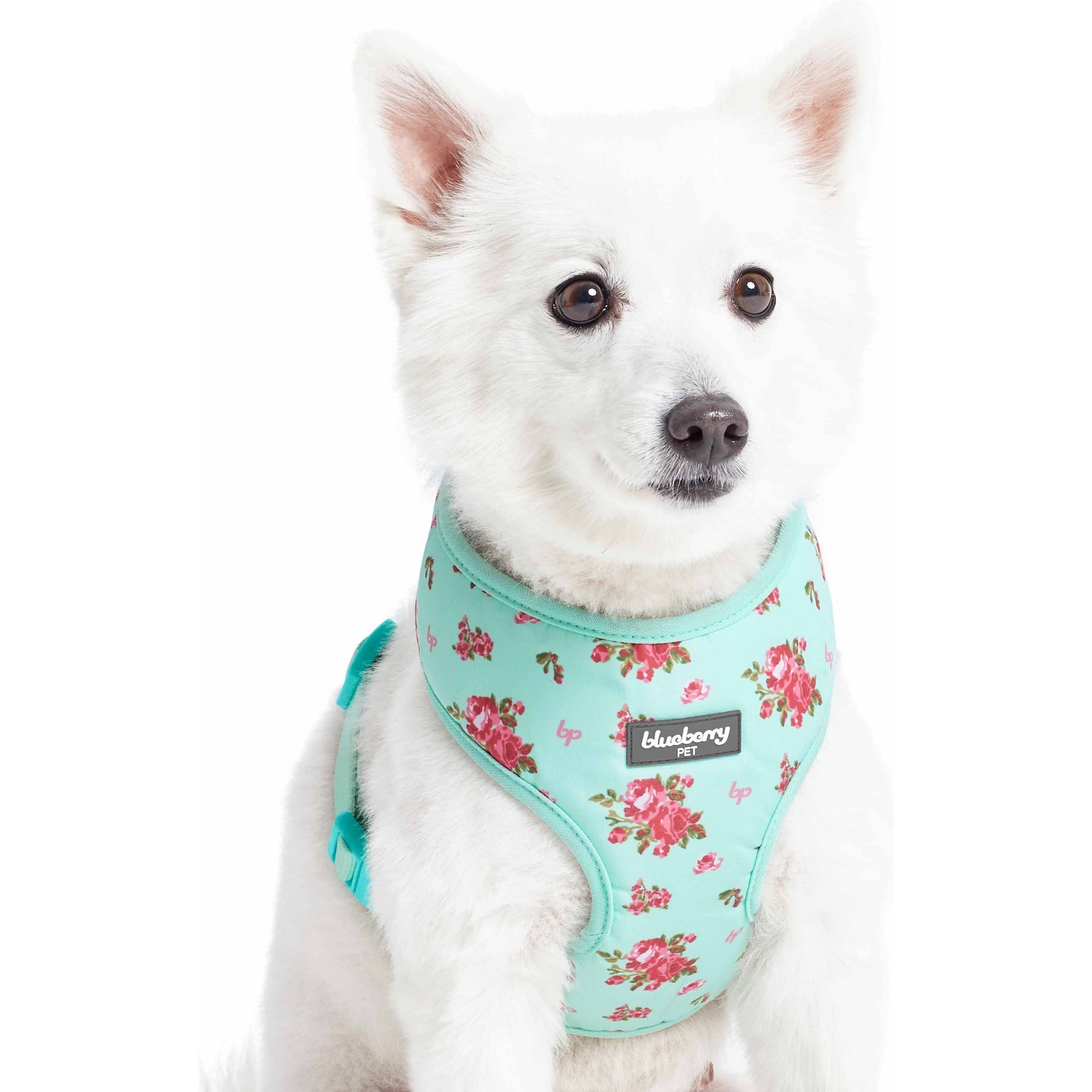 Blueberry Pet Soft & Comfy Spring Scent Inspired Floral Dog Harness Vest, Turquoise, Medium: 19.5 to 26-in chest