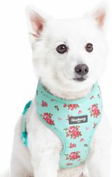 Blueberry Pet Soft & Comfy Spring Scent Inspired Floral Dog Harness Vest, Turquoise, X-Small: 13 to 16-in chest