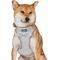 Show in main carousel: Blueberry Pet Soft & Comfy Textured Tweed Service Dog Harness Vest, Greyish Beige, Small: 16 to 21-in chest slide 1 of 6