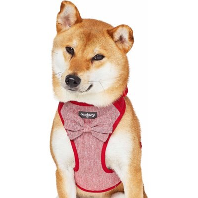 Blueberry Pet Blueberry Pet Soft & Comfy Textured Tweed Service Dog Harness Vest, Ture Red, Large: 26.75 to 38.5-in chest