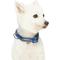 Show in main carousel: Blueberry Pet Soft & Safe 3M Neoprene Padded Adjustable Reflective Dog Collar, Navy, Large: 18 to 26-in neck slide 2 of 7
