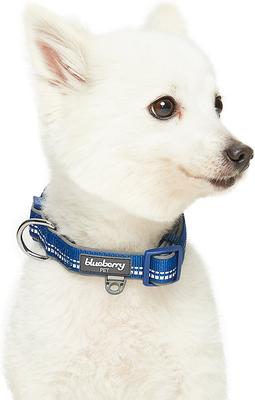 Show full view: Blueberry Pet Soft & Safe 3M Neoprene Padded Adjustable Reflective Dog Collar, Navy, Large: 18 to 26-in neck slide 2 of 7