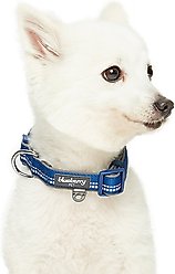 Blueberry Pet Soft & Safe 3M Neoprene Padded Adjustable Reflective Dog Collar, Navy, Small: 12 to 16-in neck slide 2 of 6