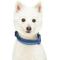 Show in main carousel: Blueberry Pet Soft & Safe 3M Neoprene Padded Adjustable Reflective Dog Collar, Navy, Small: 12 to 16-in neck slide 4 of 8