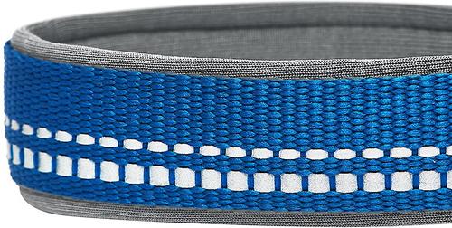Show full view: Blueberry Pet Soft & Safe 3M Neoprene Padded Adjustable Reflective Dog Collar, Navy, Small: 12 to 16-in neck slide 6 of 8