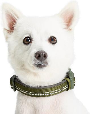 Show full view: Blueberry Pet Soft & Safe 3M Neoprene Padded Adjustable Reflective Dog Collar, Olive Green, Large: 18 to 26-in neck slide 3 of 8