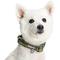 Show in main carousel: Blueberry Pet Soft & Safe 3M Neoprene Padded Adjustable Reflective Dog Collar, Olive Green, Large: 18 to 26-in neck slide 4 of 8