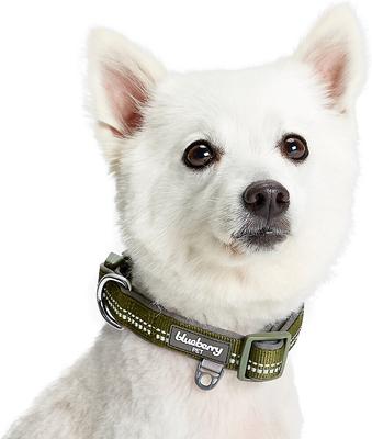 Show full view: Blueberry Pet Soft & Safe 3M Neoprene Padded Adjustable Reflective Dog Collar, Olive Green, Large: 18 to 26-in neck slide 4 of 8