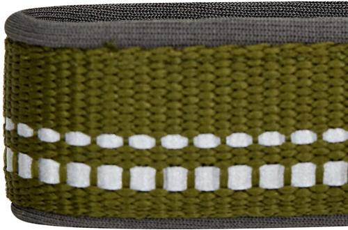 Show full view: Blueberry Pet Soft & Safe 3M Neoprene Padded Adjustable Reflective Dog Collar, Olive Green, Large: 18 to 26-in neck slide 6 of 8