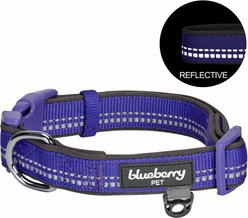 Blueberry Pet Soft & Safe 3M Neoprene Padded Adjustable Reflective Dog Collar, Violet, Large: 18 to 26-in neck