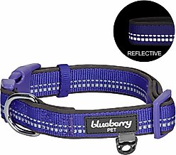 Blueberry Pet Soft & Safe 3M Neoprene Padded Adjustable Reflective Dog Collar, Violet, Medium: 14.5 to 20-in neck