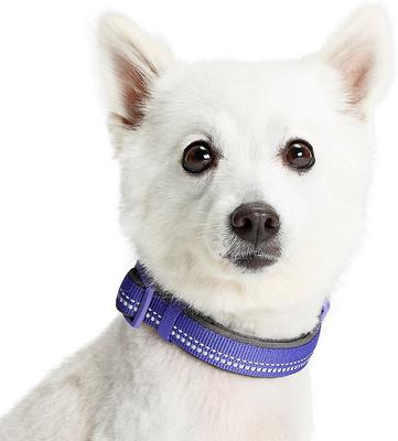 Show full view: Blueberry Pet Soft & Safe 3M Neoprene Padded Adjustable Reflective Dog Collar, Violet, Medium: 14.5 to 20-in neck slide 2 of 7