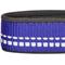 Show in main carousel: Blueberry Pet Soft & Safe 3M Neoprene Padded Adjustable Reflective Dog Collar, Violet, Medium: 14.5 to 20-in neck slide 5 of 7
