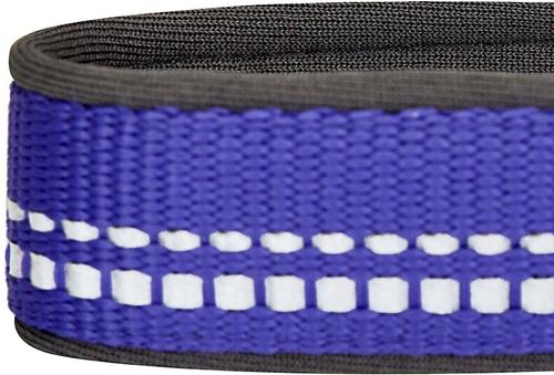 Show full view: Blueberry Pet Soft & Safe 3M Neoprene Padded Adjustable Reflective Dog Collar, Violet, Medium: 14.5 to 20-in neck slide 5 of 7