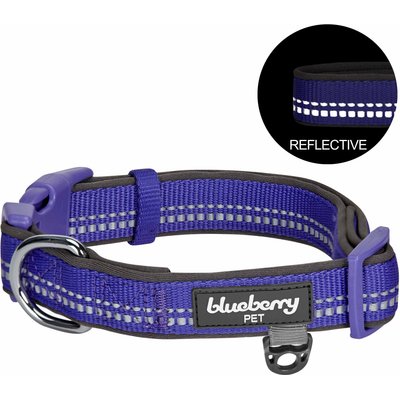 Blueberry Pet Blueberry Pet Soft & Safe 3M Neoprene Padded Adjustable Reflective Dog Collar, Violet, Small: 12 to 16-in neck