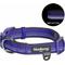 Show in main carousel: Blueberry Pet Soft & Safe 3M Neoprene Padded Adjustable Reflective Dog Collar, Violet, Small: 12 to 16-in neck slide 1 of 7