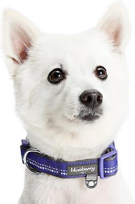 Show full view: Blueberry Pet Soft & Safe 3M Neoprene Padded Adjustable Reflective Dog Collar, Violet, Small: 12 to 16-in neck slide 3 of 7