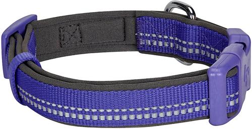 Show full view: Blueberry Pet Soft & Safe 3M Neoprene Padded Adjustable Reflective Dog Collar, Violet, Small: 12 to 16-in neck slide 4 of 7
