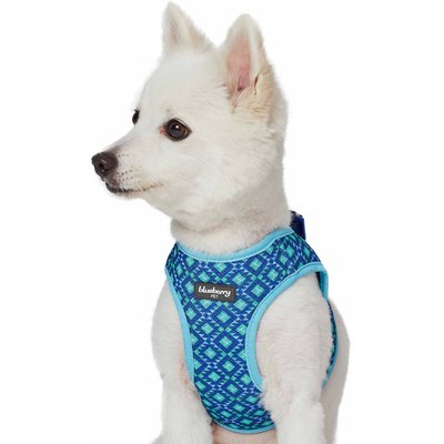 Blueberry Pet Blueberry Pet Southwestern Tribal Lozenges Service Dog Harness Vest, Stylish Green, Small: 17 to 18.5-in chest
