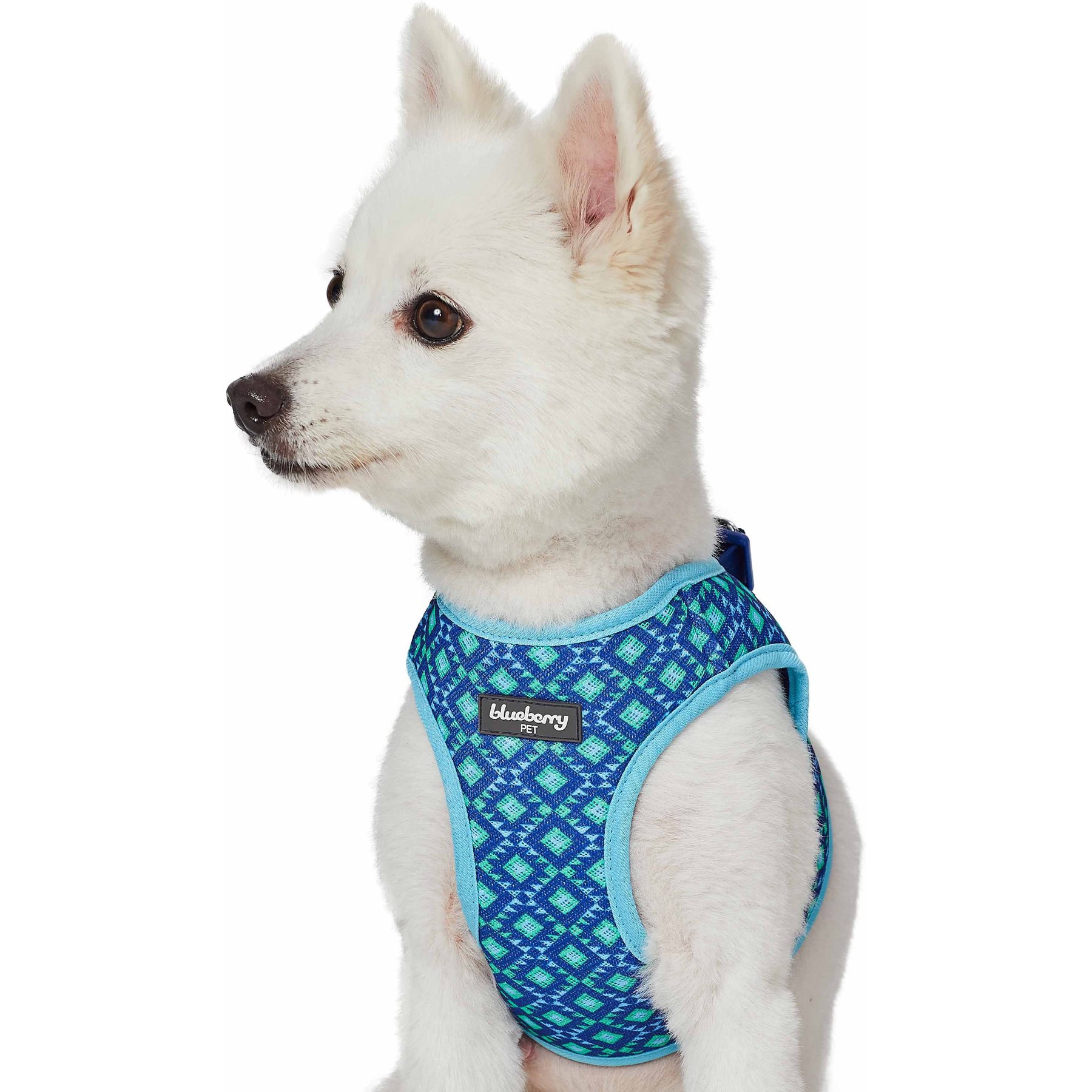 Blueberry Pet Southwestern Tribal Lozenges Service Dog Harness Vest, Stylish Green, Small/Medium: 18.5 to 20-in chest