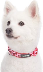 Blueberry Pet Spring Prints Nylon Dog Collar, Ladybug, Large: 18 to 26-in neck, 1-in wide slide 2 of 6