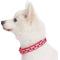 Show in main carousel: Blueberry Pet Spring Prints Nylon Dog Collar, Ladybug, Large: 18 to 26-in neck, 1-in wide slide 3 of 8