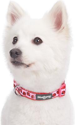 Show full view: Blueberry Pet Spring Prints Nylon Dog Collar, Ladybug, Medium: 14.5 to 20-in neck, 3/4-in wide slide 3 of 9