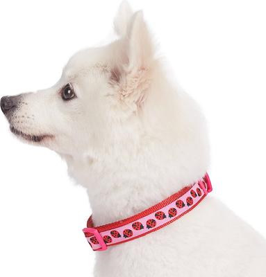 Show full view: Blueberry Pet Spring Prints Nylon Dog Collar, Ladybug, Small: 12 to 16-in neck, 5/8-in wide slide 3 of 8