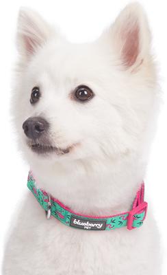 Show full view: Blueberry Pet Spring Prints Nylon Dog Collar, Pink Flamingo on Light Emerald, Large: 18 to 26-in neck, 1-in wide slide 4 of 10