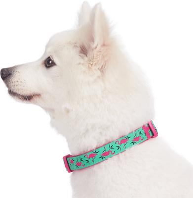 Show full view: Blueberry Pet Spring Prints Nylon Dog Collar, Pink Flamingo on Light Emerald, Small: 12 to 16-in neck, 5/8-in wide slide 5 of 10