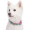 Show in main carousel: Blueberry Pet Spring Prints Nylon Dog Collar, Pink Flamingo on Light Emerald, X-Small: 7.5 to 10-in neck, 3/8-in wide slide 3 of 9