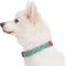 Show in main carousel: Blueberry Pet Spring Prints Nylon Dog Collar, Pink Flamingo on Light Emerald, X-Small: 7.5 to 10-in neck, 3/8-in wide slide 4 of 9