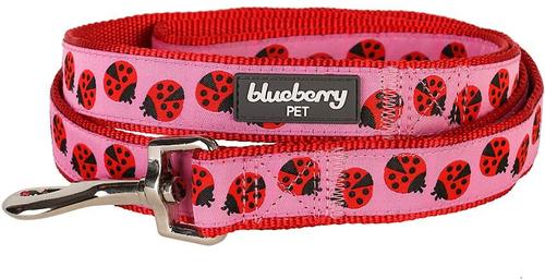 Show full view: Blueberry Pet Spring Prints Nylon Dog Leash, Ladybug, Large: 4-ft long, 1-in wide slide 2 of 6