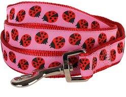 Blueberry Pet Spring Prints Nylon Dog Leash, Ladybug, Medium: 5-ft long, 3/4-in wide
